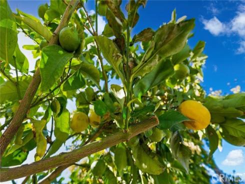 5018 E Budlong   Street, Anaheim, CA