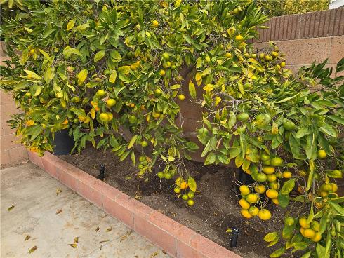 3115 W Teranimar  , Anaheim, CA