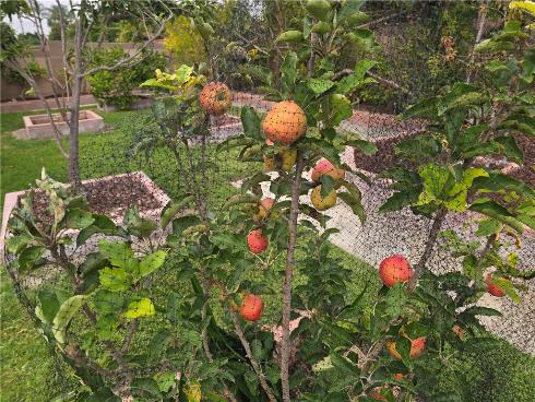 3115 W Teranimar  , Anaheim, CA