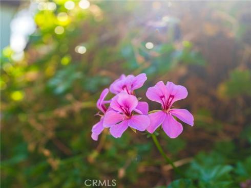 405 N Janss  , Anaheim, CA