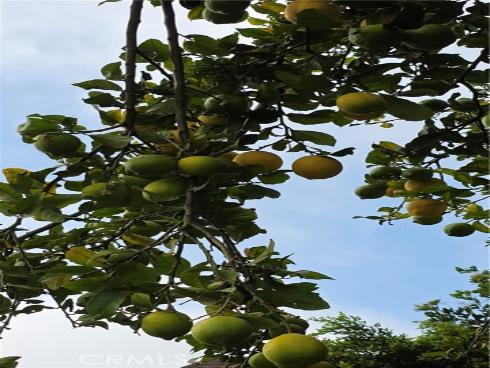 231 S Gain , Anaheim, CA