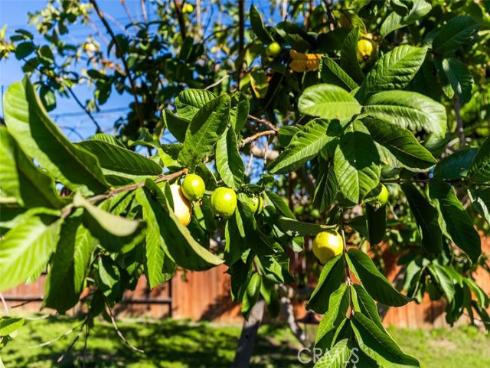 314 S Velva , Anaheim, CA