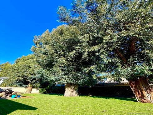 2034 S Flippen Drive  , Anaheim, CA