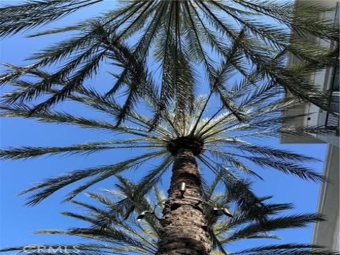 1801 E Katella  , Anaheim, CA