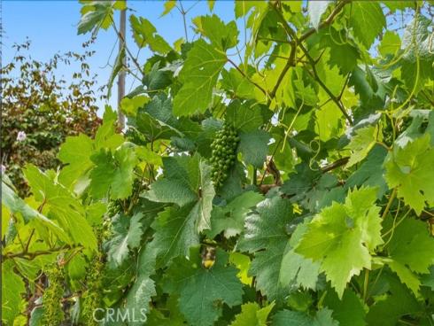 221 S Gilbert  , Anaheim, CA