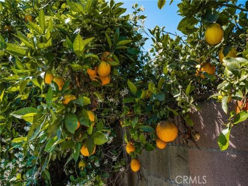 1865 W Tedmar  , Anaheim, CA