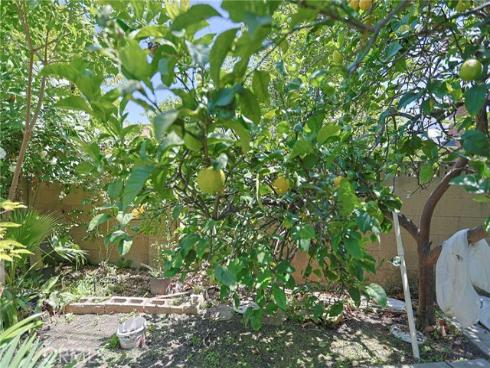 990 S Siet Place, Anaheim, CA
