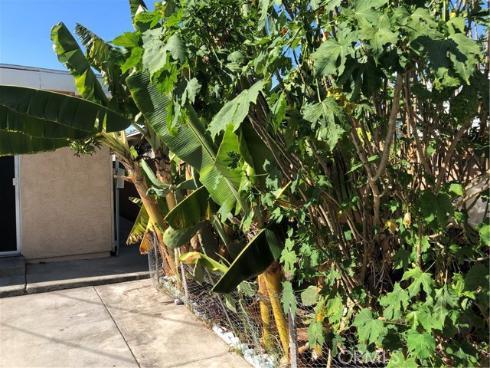 1234 E Oak Street, Anaheim, CA