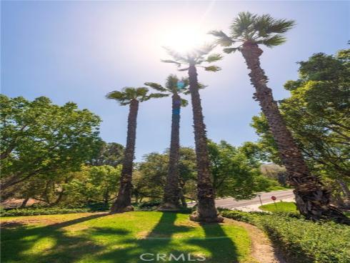 6097 E Montefino  , Anaheim, CA