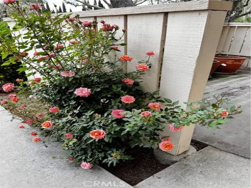 306 Calico Court, Brea, CA