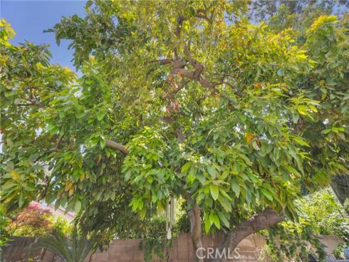 430 Gum Place, Brea, CA