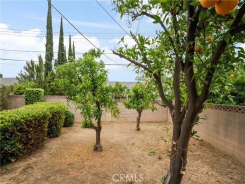 920 Wildrose , Brea, CA