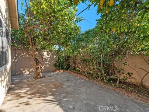 7184  El Rey Drive  , Buena Park, CA