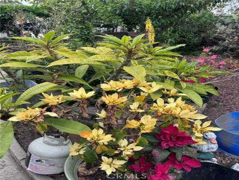 7881  Franklin   Street, Buena Park, CA