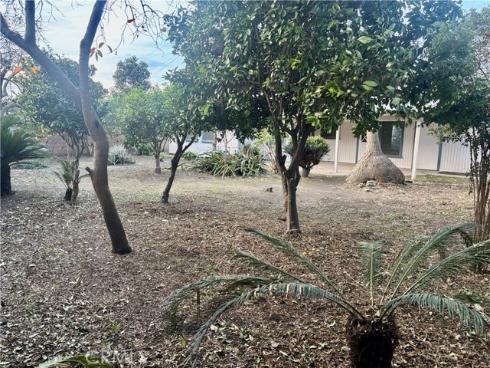 7912  11th  , Buena Park, CA