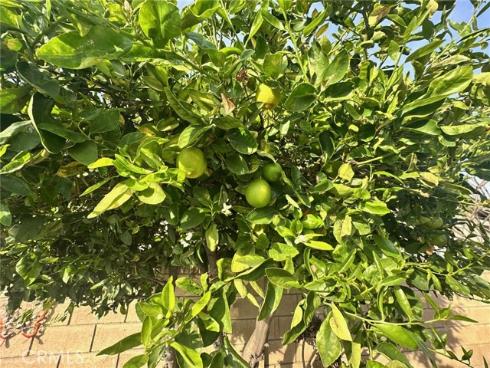 6849  Whitman   Drive, Buena Park, CA