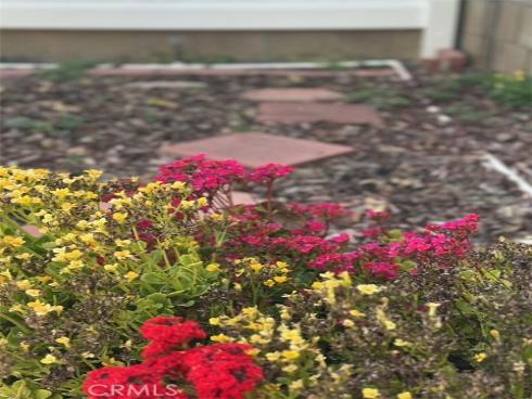 6849  Whitman   Drive, Buena Park, CA