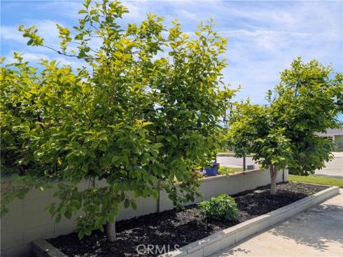 8002  San Leon   Circle, Buena Park, CA