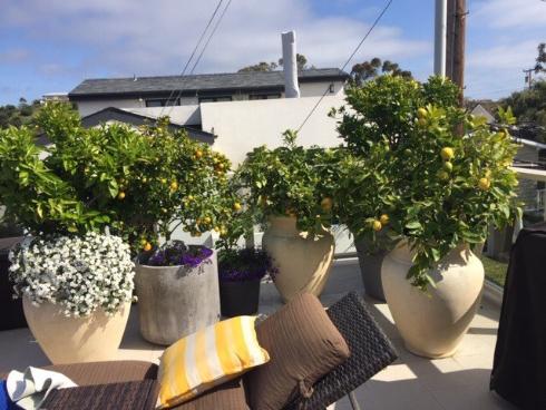 720 Poinsettia Ave , Corona del Mar, CA