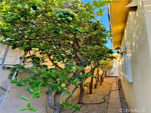 449  Hamilton  Unit D  Street, Costa Mesa, CA