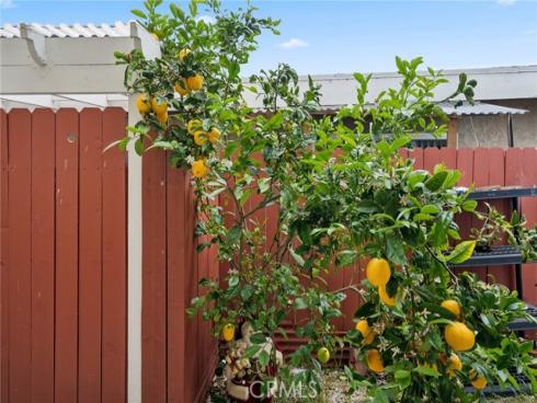 3133 Coral Avenue, Costa Mesa, CA