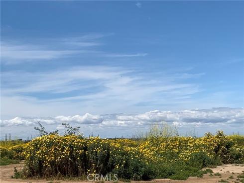 2191 Canyon C103 , Costa Mesa, CA