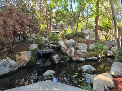 783  Grayling  , Costa Mesa, CA