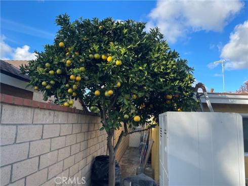 825  Sonora   Road, Costa Mesa, CA