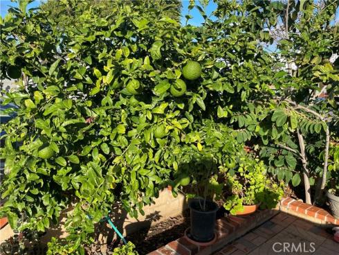 825  Sonora   Road, Costa Mesa, CA