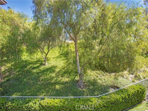 22  Brassie   Lane, Coto de Caza, CA