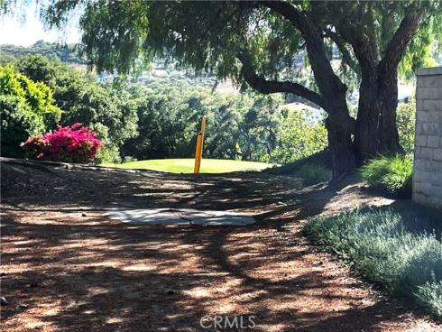 15 Canada Oaks , Coto de Caza, CA