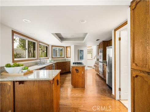 32022 Via Pavo Real , Coto de Caza, CA