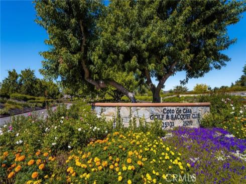 32022 Via Pavo Real , Coto de Caza, CA