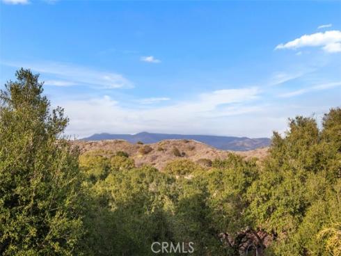 2 Fresian , Coto de Caza, CA