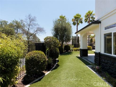 12 Lusitano , Coto de Caza, CA