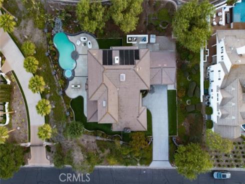 12 Lusitano , Coto de Caza, CA