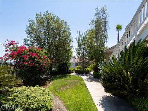 4  Arabian  , Coto de Caza, CA