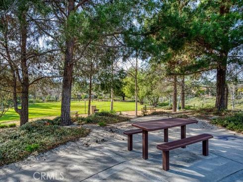 31  Brassie   Lane, Coto de Caza, CA