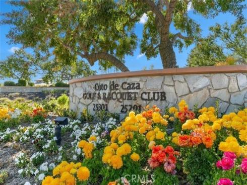 41  Long View   Road, Coto de Caza, CA