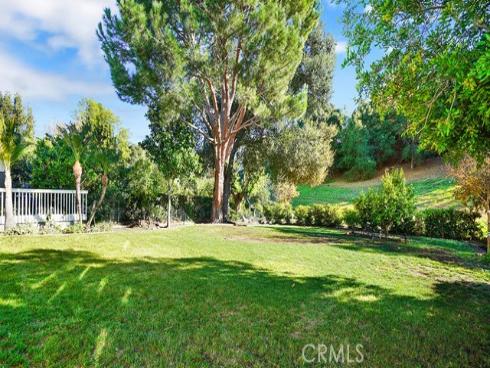 31682 Via Coyote , Coto de Caza, CA