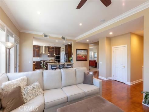 6  Birkdale   Way, Coto de Caza, CA