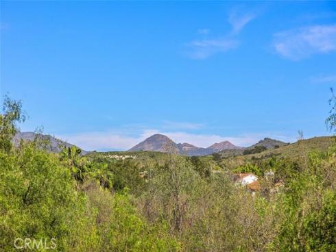 24  Water Lily  , Coto de Caza, CA