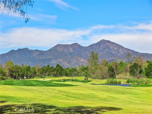 24  Water Lily  , Coto de Caza, CA