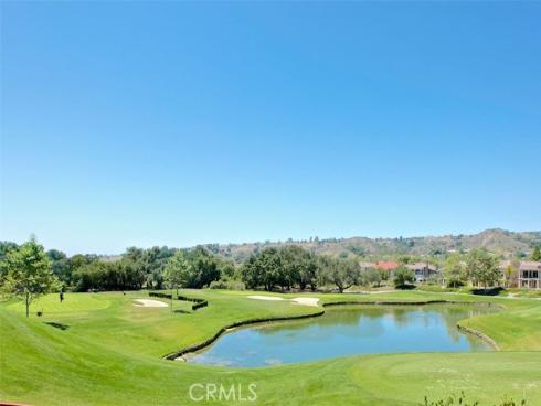 24  Water Lily  , Coto de Caza, CA