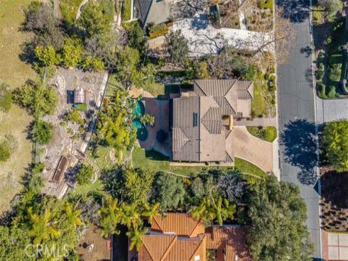 11  Lusitano  , Coto de Caza, CA