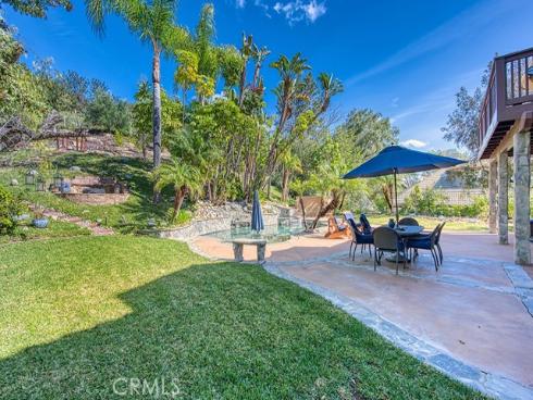 11  Lusitano  , Coto de Caza, CA