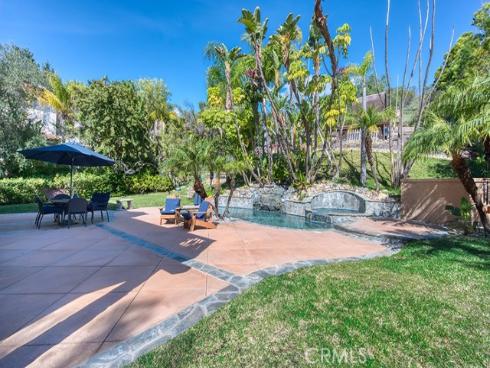 11  Lusitano  , Coto de Caza, CA