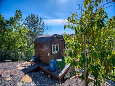 11  Lusitano  , Coto de Caza, CA