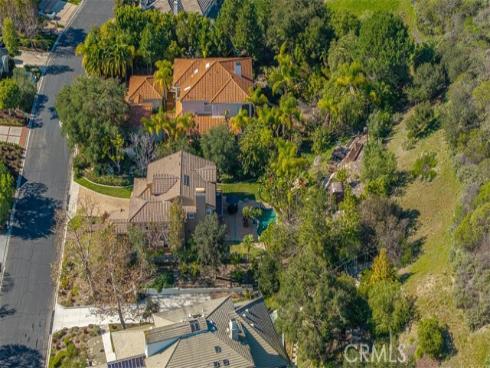 11  Lusitano  , Coto de Caza, CA