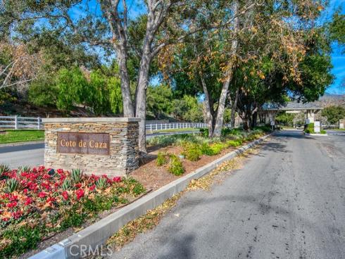 11  Lusitano  , Coto de Caza, CA